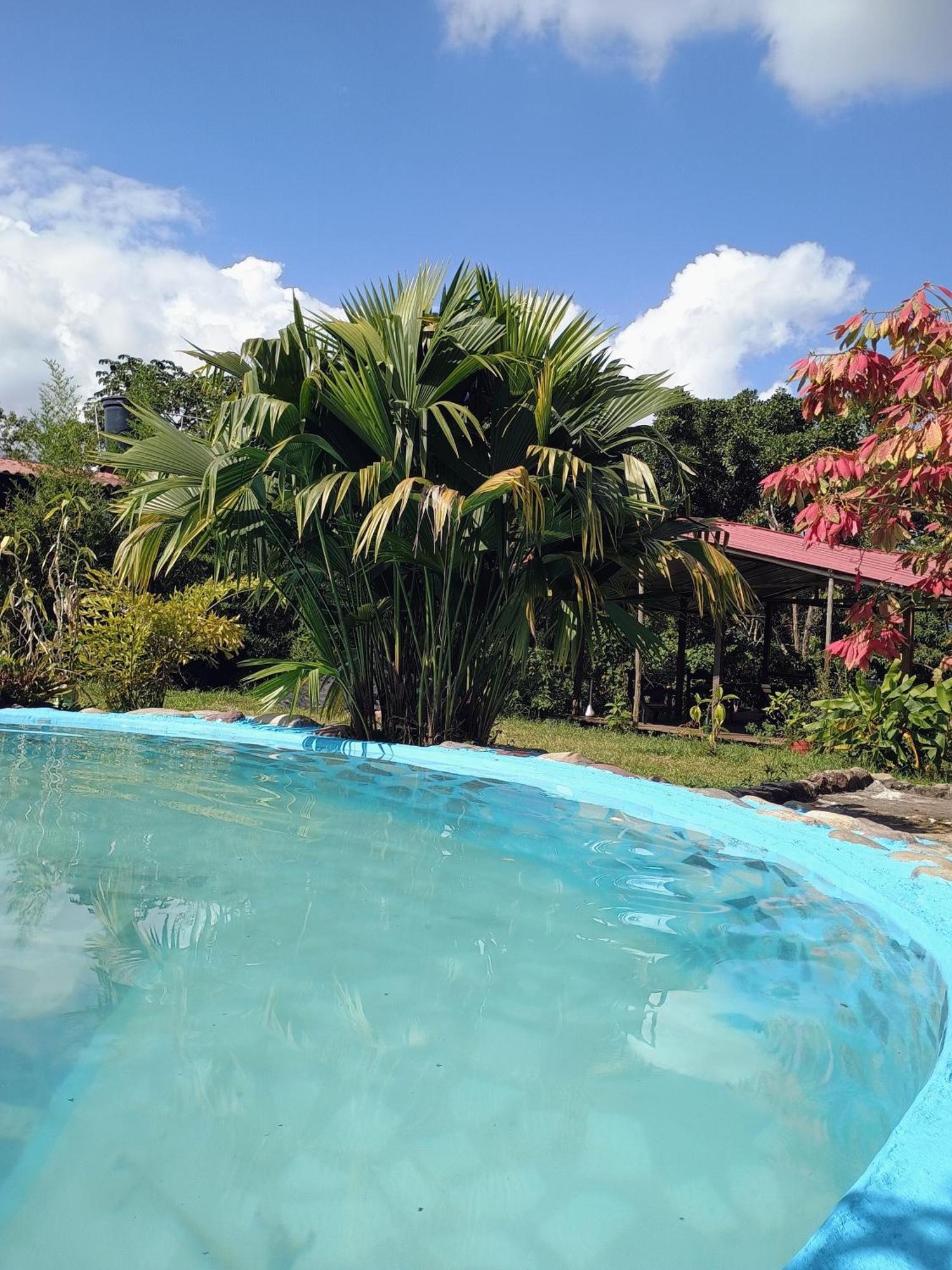 Posadamanduka Eco-Hostel Villavicencio Zewnętrze zdjęcie